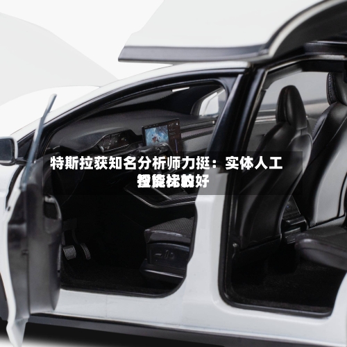 特斯拉获知名分析师力挺：实体人工智能比较好投资标的