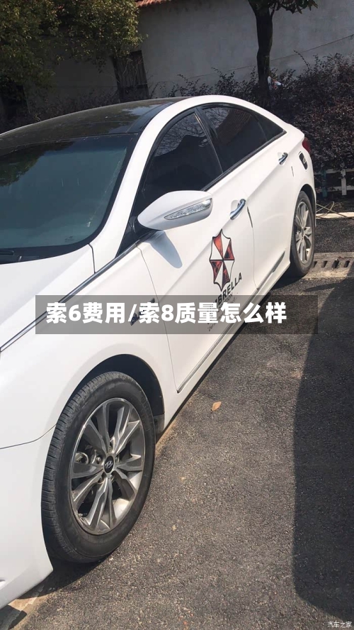 索6费用/索8质量怎么样-第2张图片
