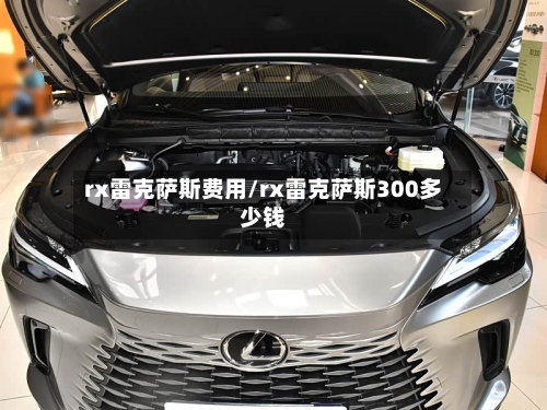 rx雷克萨斯费用/rx雷克萨斯300多少钱