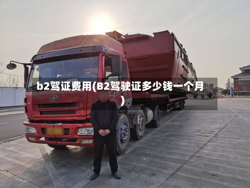 b2驾证费用(B2驾驶证多少钱一个月)