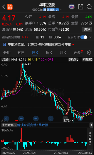 华联控股产业转型突然遇阻，拟投资阿根廷锂盐湖项目触发审查